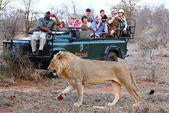 Motswari Private Game Reserve - Timbavati Klaserie Private Nature Reserve Exteriér fotografie
