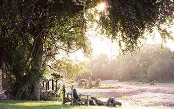 Motswari Private Game Reserve - Timbavati Klaserie Private Nature Reserve Exteriér fotografie