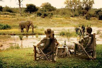 Motswari Private Game Reserve - Timbavati Klaserie Private Nature Reserve Exteriér fotografie
